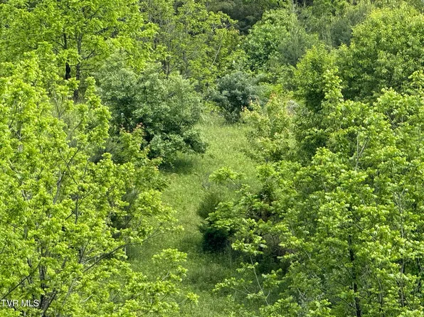 Johnson Hollow Rd, Mountain City, TN 37683