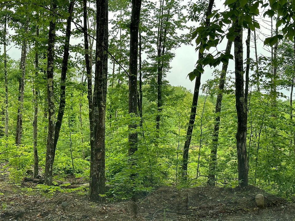 2nd image of Lot 7 Berry Road