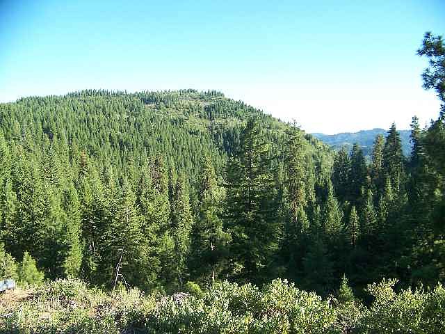 2nd image of 1 Summitview
