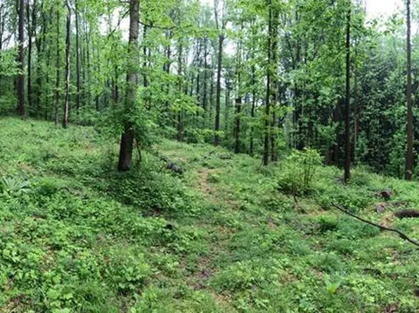 130 Pumpkin Hill Rd, Glenmoore, PA 19343