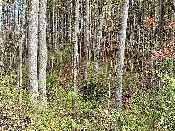 2nd image of 0 Lower Rockwood Rd