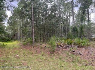 11056 Flatwood Ave, Weeki Wachee, FL 34613