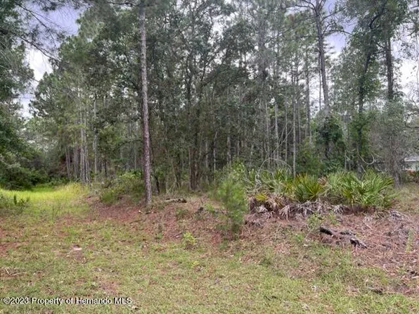 11056 Flatwood Ave, Weeki Wachee, FL 34613