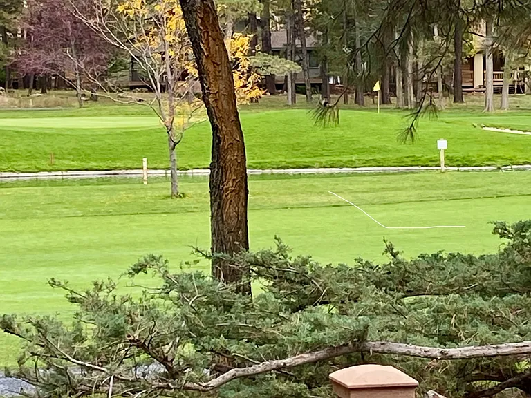 Spruce & Pine Cabin 
Golf course view off the back deck