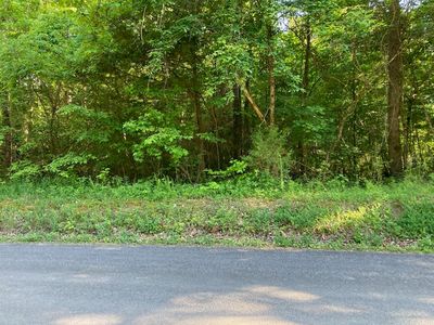 0 Horner Hollow Rd, Birchwood, TN, 37308