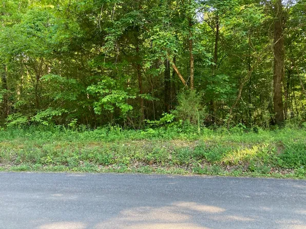 0 Horner Hollow Rd, Birchwood, TN 37308
