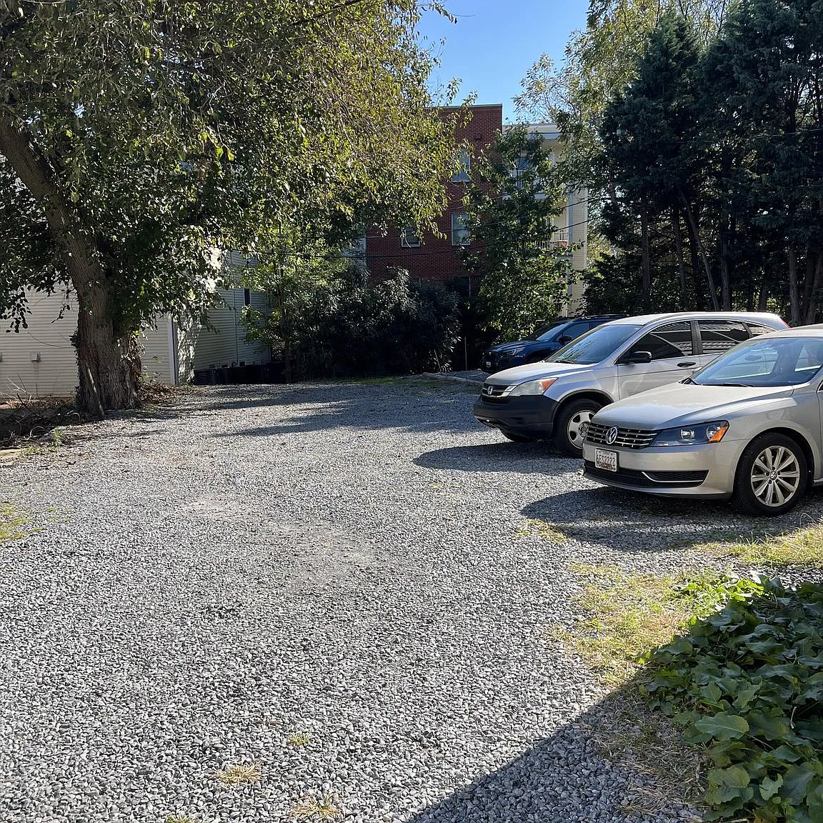 1 bed, 1.0 bath, 450 sqft, $1,450 — Photo 3