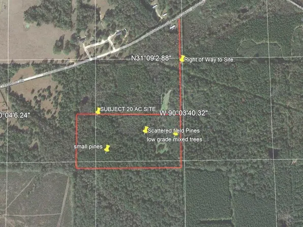 0 Johnnie Foxworth Rd, Tylertown, MS 39667