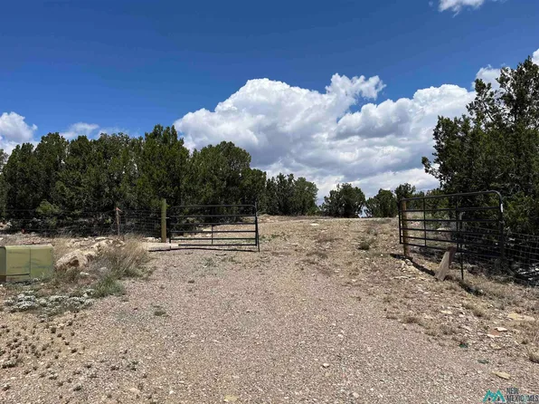 12 Calle Sabina, Serafina, NM 87569