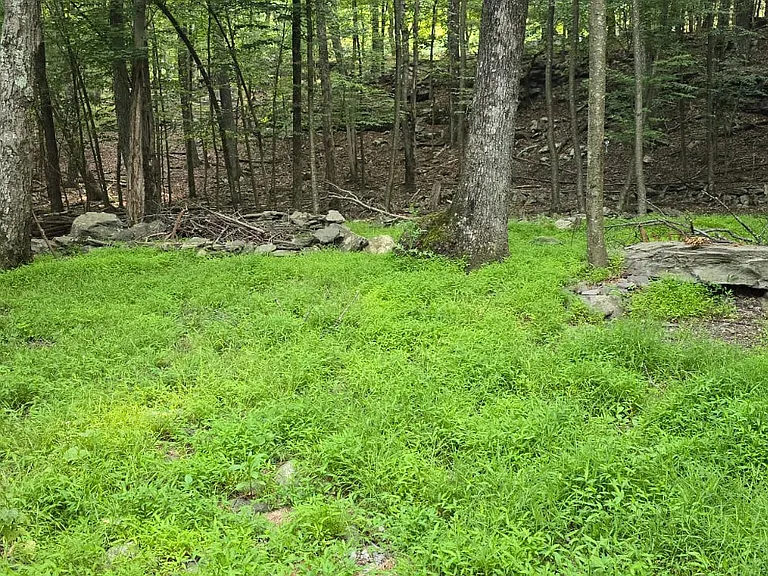 326 Wild Acres Dr — Photo 20