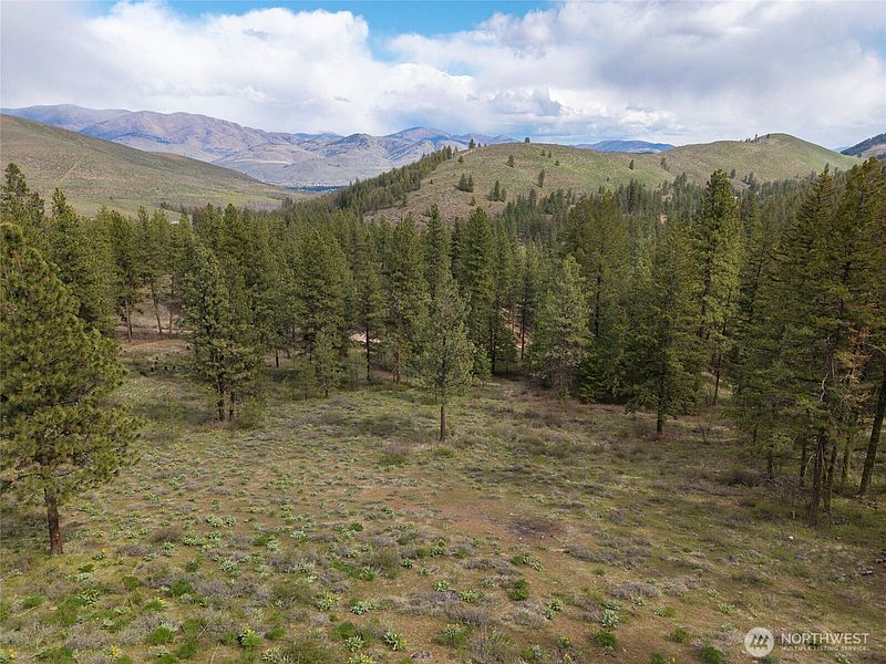 2nd image of 9 Whitebark Lane