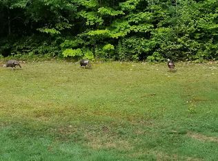 2501 Newark Pond Rd, Newark, VT 05871