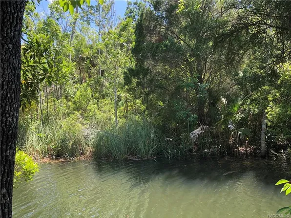 10677 W Manatee Cove Path, Crystal River, FL 34429
