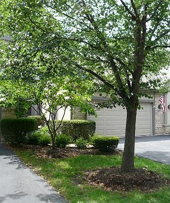 2nd image of 1271 Hobson Oaks Dr