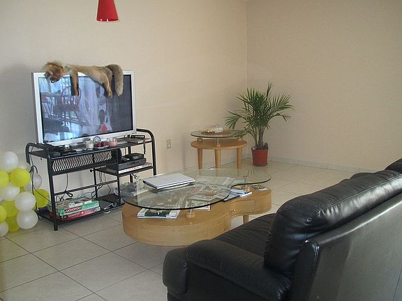 5th image of 210 174th St APT 915