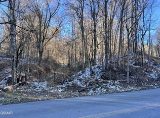 0 Maples Branch Rd LOT 3, Sevierville, TN 37876