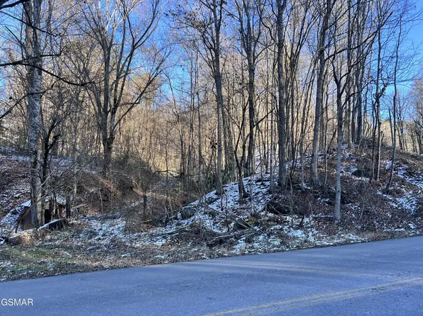 0 Maples Branch Rd Lot 3, Sevierville, TN 37876