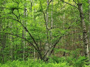 1C Risky Ranch Rd, Stamford, VT 05352