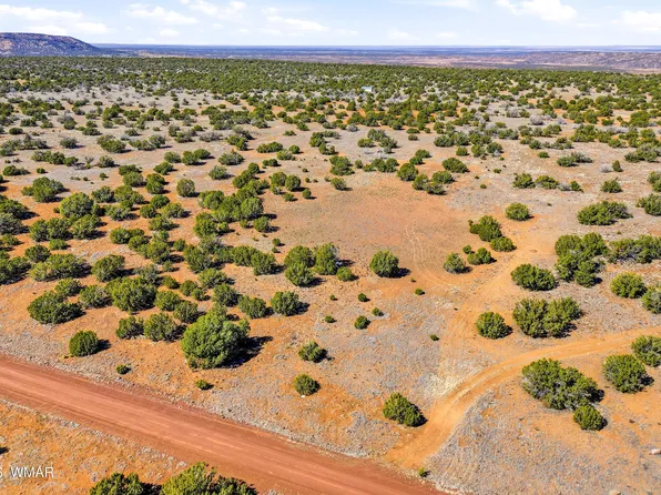 8085 County Rd, Concho, AZ 85924