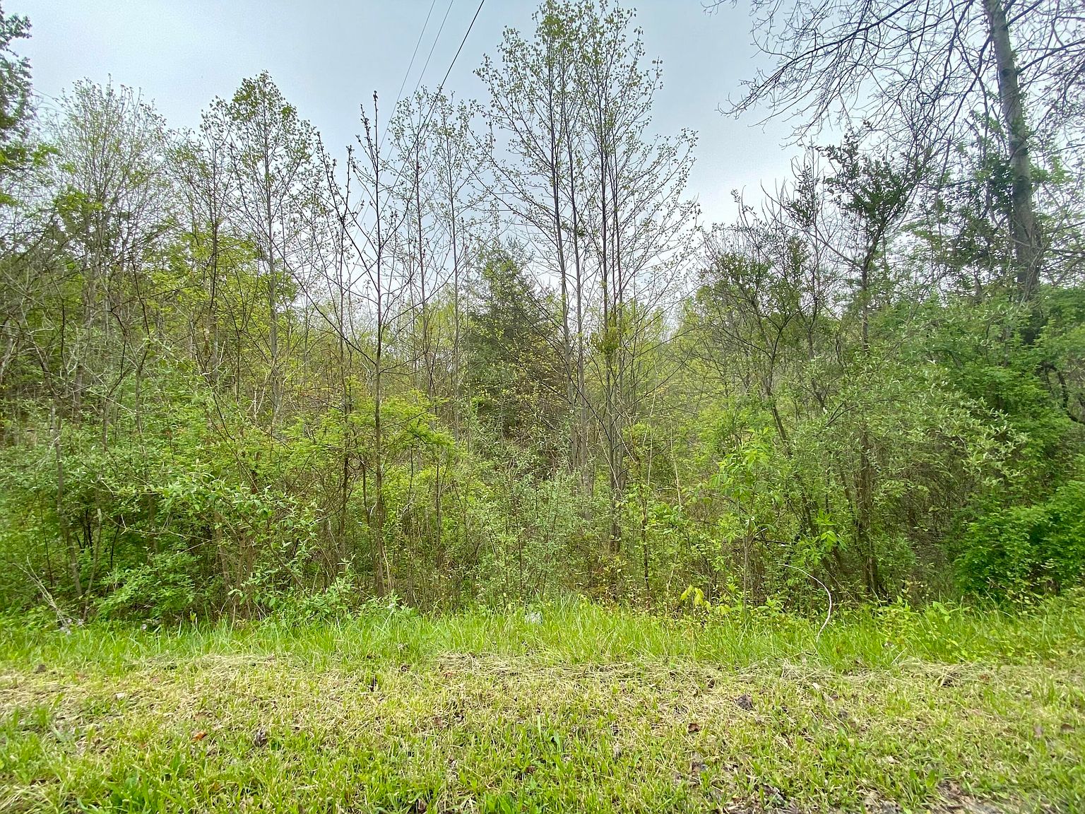 0 Lost Hill Rd, Clearfield, KY 40313 MLS 23007678 Zillow