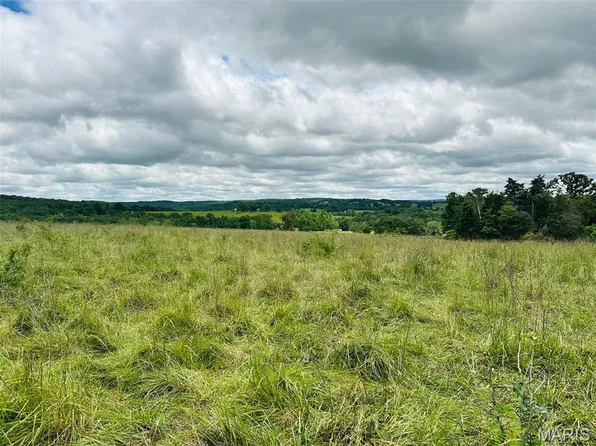 LOT 4 Highway H, Elk Creek, MO 65464