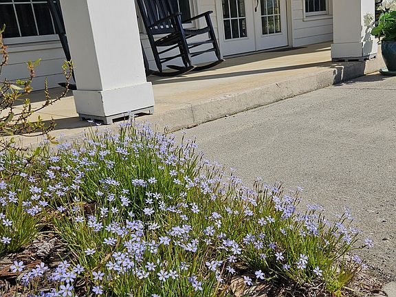 Virginia Place Apartments, Clubhouse porch in spring with blue-eyed grass; Historic District, Tifton, Georgia