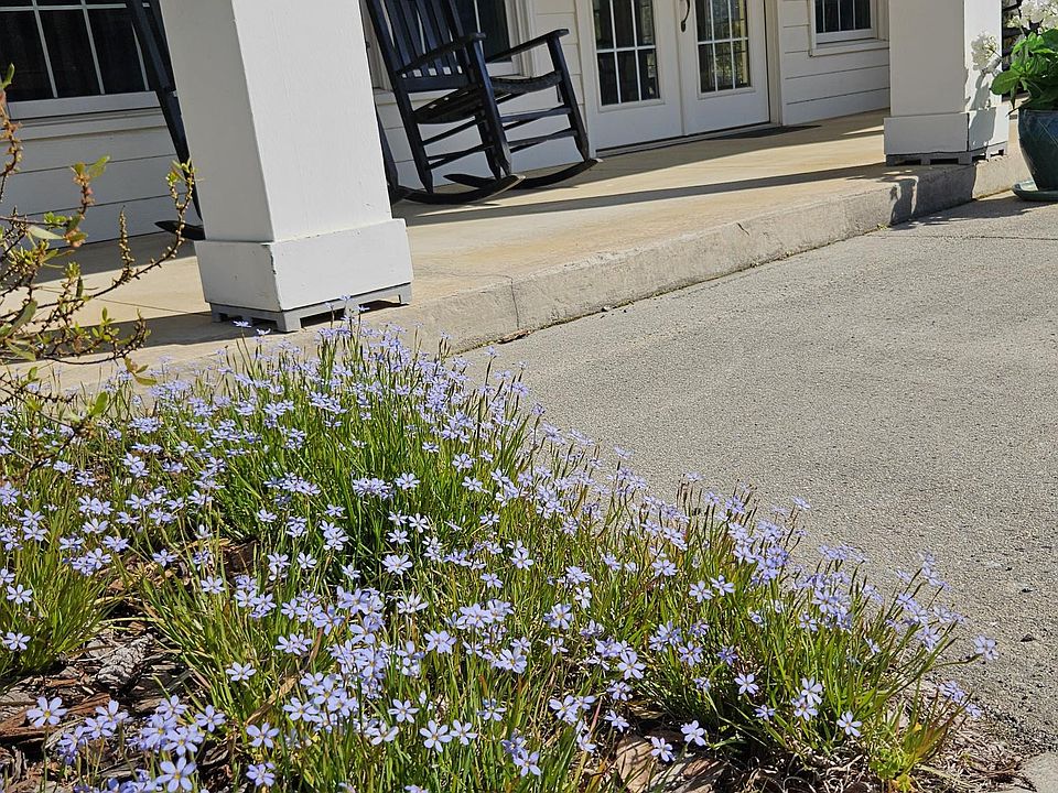 Virginia Place Apartments, Clubhouse porch in spring with blue-eyed grass; Historic District, Tifton, Georgia