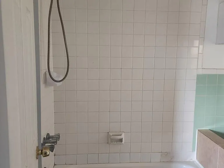 210 Pearl St #2N — Photo 3