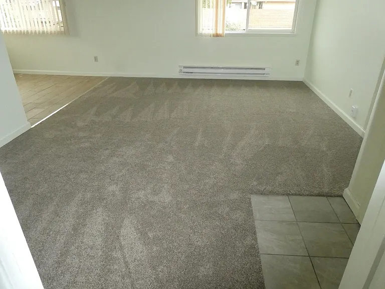 1416 Kingman Ave — Photo 1
