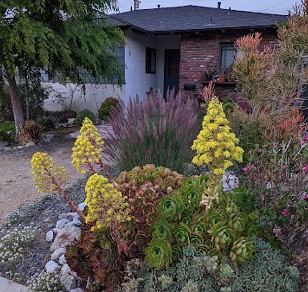 7849 Beckett St — Photo 68