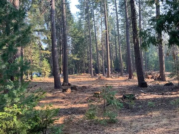 0 Mountain Meadow Rd, Shingletown, CA 96088