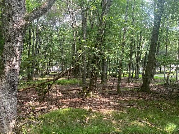 3rd image of 407 Pine Tree Rd