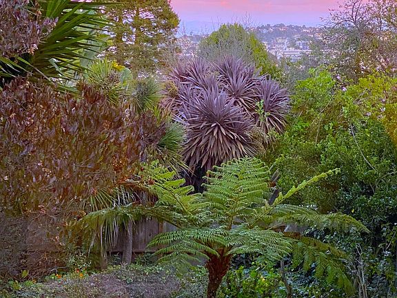 View from Kitchen window looking East at sunset
