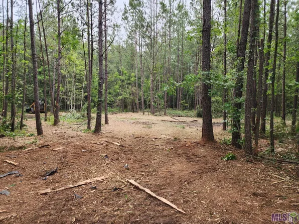 TRACT R Two C La Hwy Lot 43, Independence, LA 70443