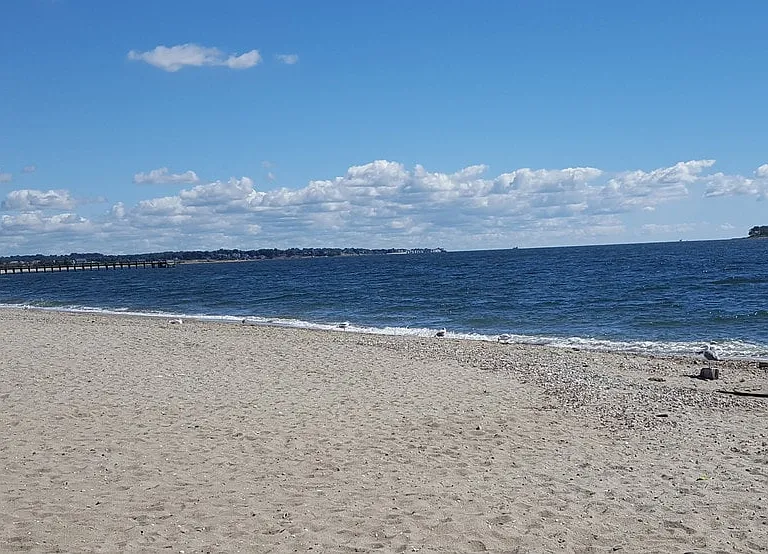 Milford Beach — Photo 5