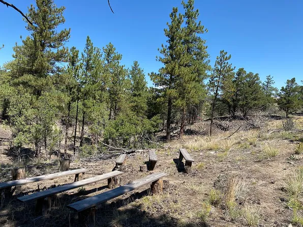 2975 E Path, Cotopaxi, CO 81223