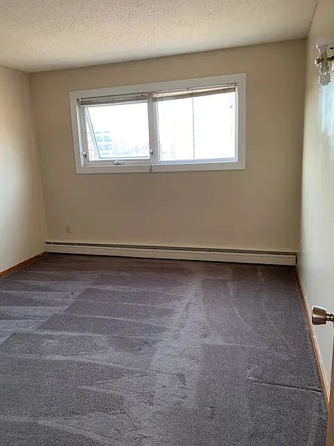 1 bed, $1,200 — Photo 4
