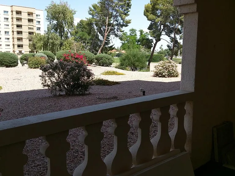 Patio views