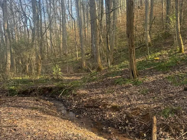 Wide Horizon Dr, Franklin, NC 28734