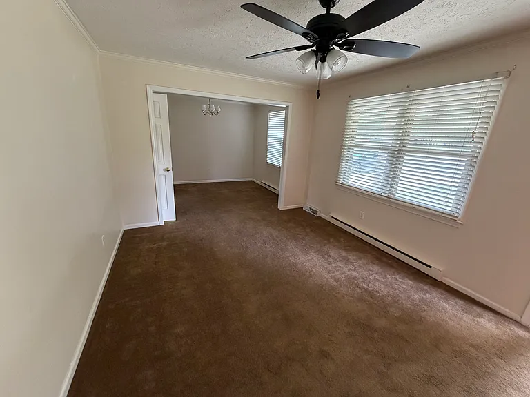 113 Avalon Cir — Photo 4
