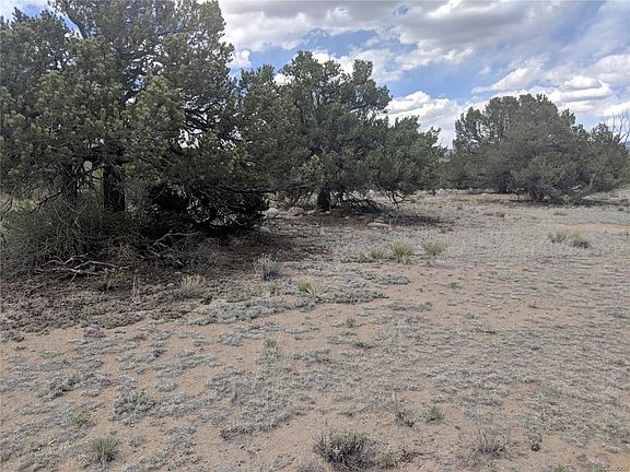 5th image of 14122 County Road 162