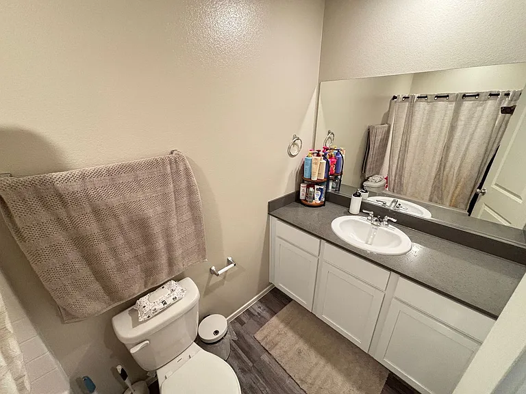 6173 Hibuscus Garden St — Photo 12