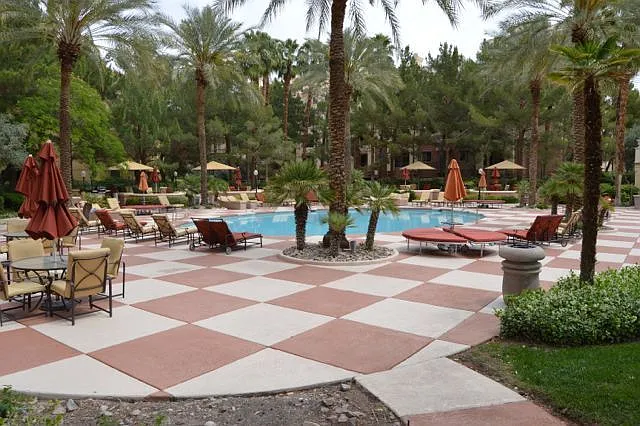 220 E Flamingo Rd #330 — Photo 24