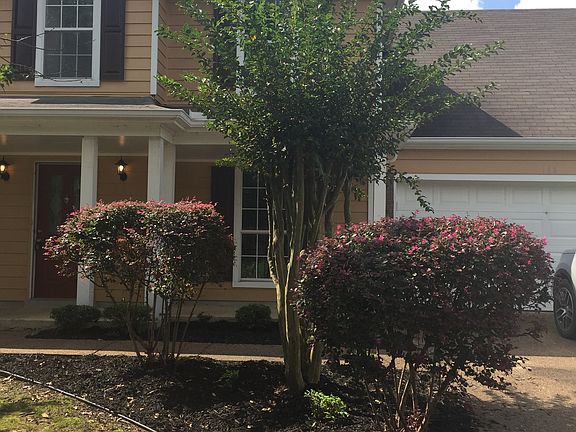 2nd image of 185 Oaksedge Dr