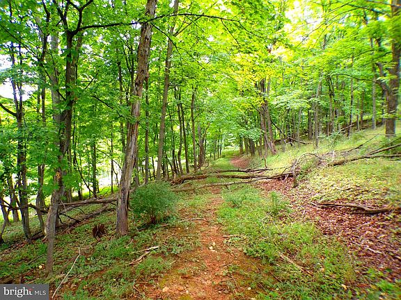 2nd image of Waxler Rd