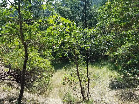 2nd image of 603 Ashland Creek Dr