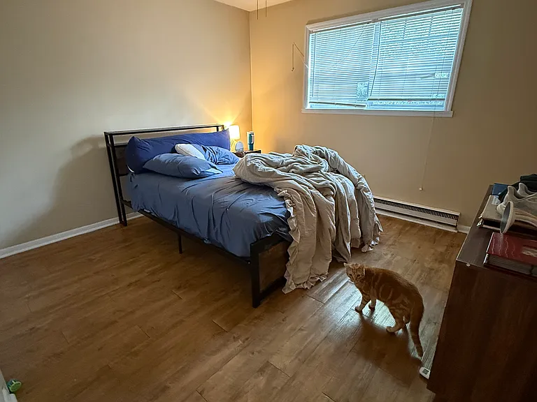 179 Woodrow St #9 — Photo 7