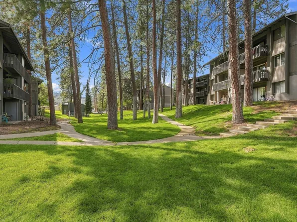 Centennial Pines Apartments!
