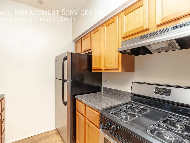 1050 W Dickens Ave #19 — Photo 4
