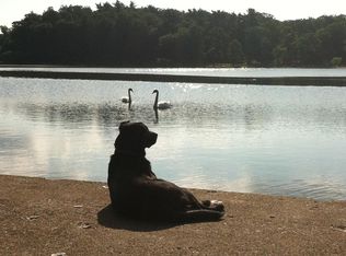 815 Long Bar Harbor Rd, Abingdon, MD 21009